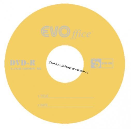 DVD-R EVO (10 buc/set)