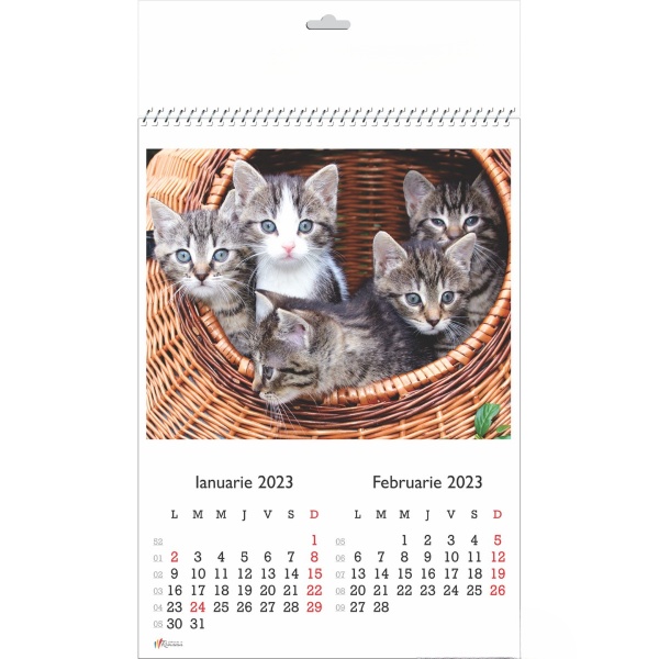 Calendar A3 Pisici - 2023