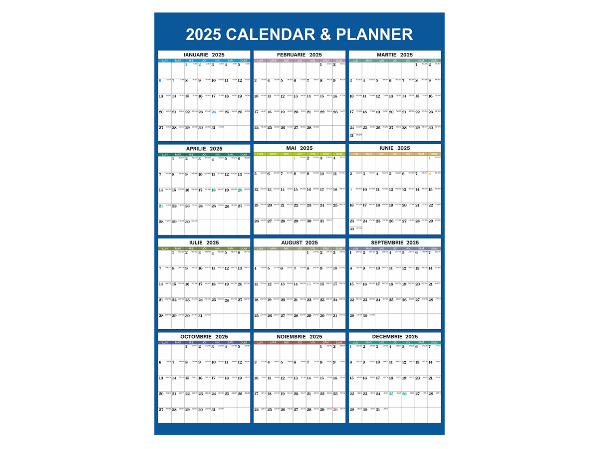 Planner anual de perete