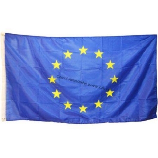 Steag UE 150x91